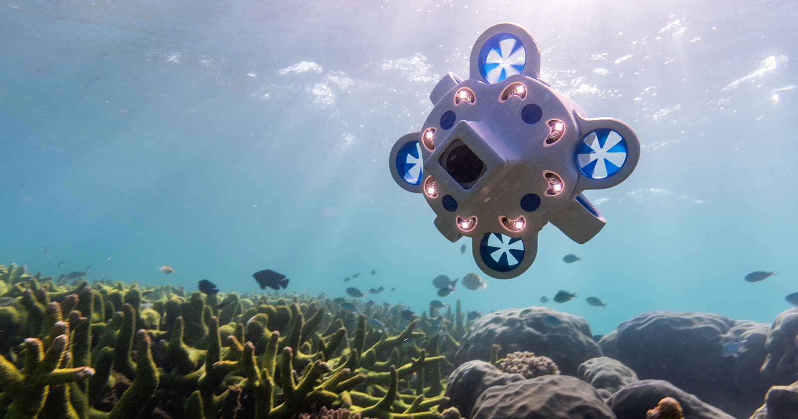 Advanced Navigation's Hydrus underwater drone in action in Australia