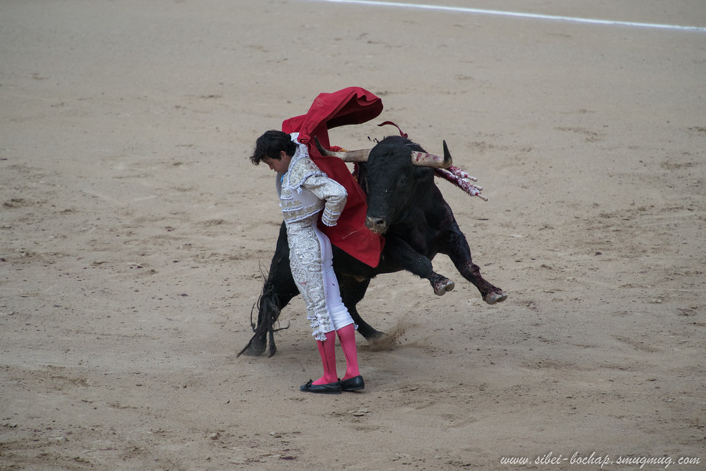 DSC8264-XL.jpg