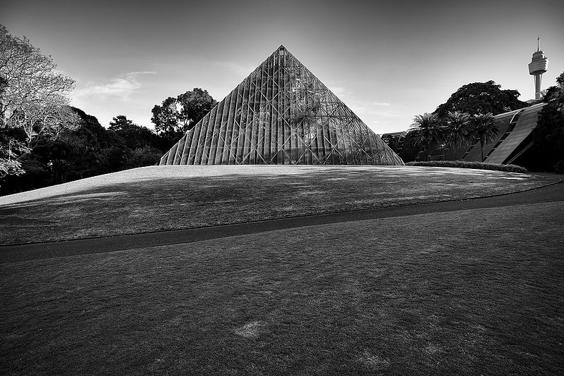 10052957116_61cf9b1feb_c.jpg