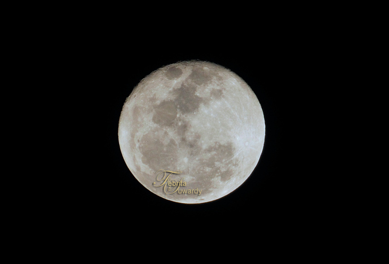 p169918250-4.jpg