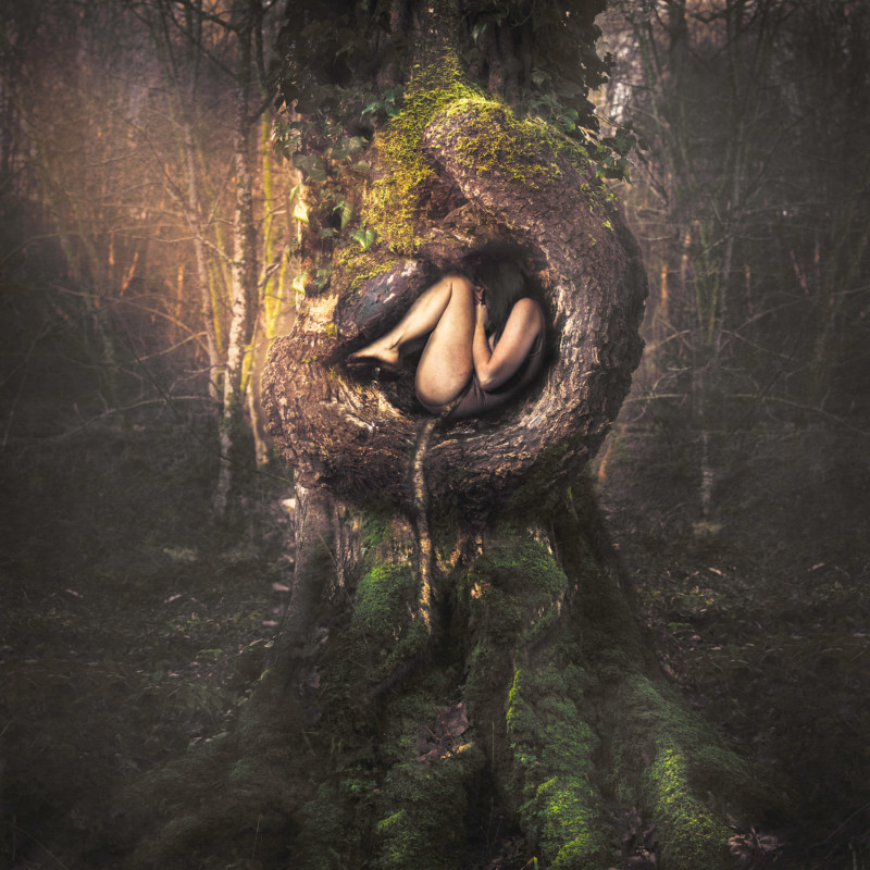 Natured-800x800.jpg