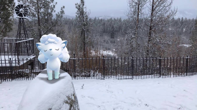 gosnapshot-3-800x450.jpg