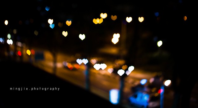 5445242690_49affa96a3_z.jpg