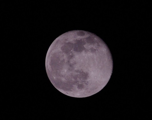 6641248089_a9cce17d45_z.jpg