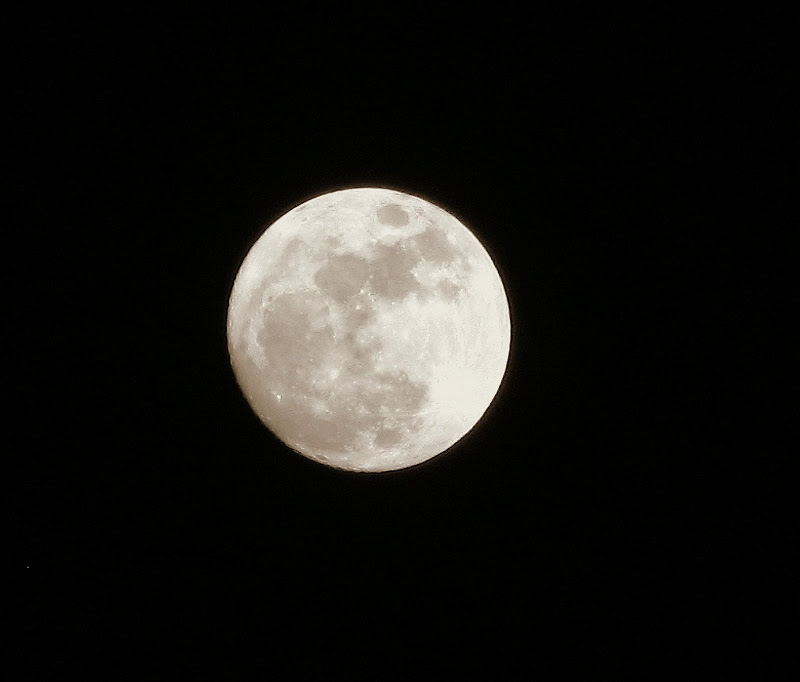 Moon1.jpg