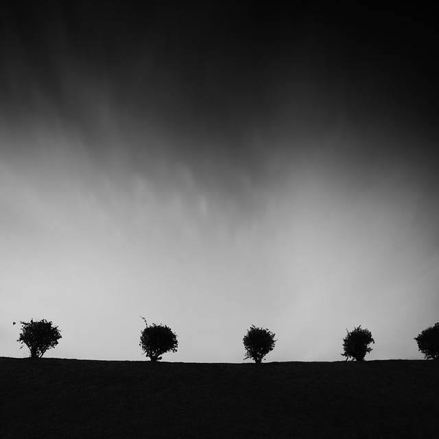 5773532427_a5e0d3ba9a_z.jpg