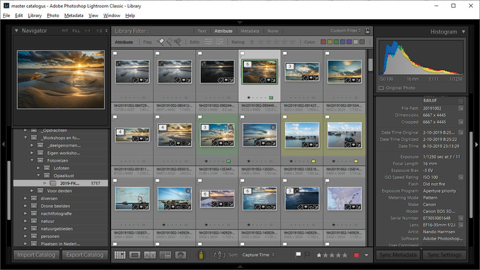 10 Tips to Create Order in Your Lightroom Classic Catalog