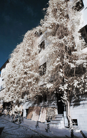 p559210141-3.jpg