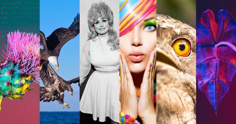 Header210509-800x420.jpg