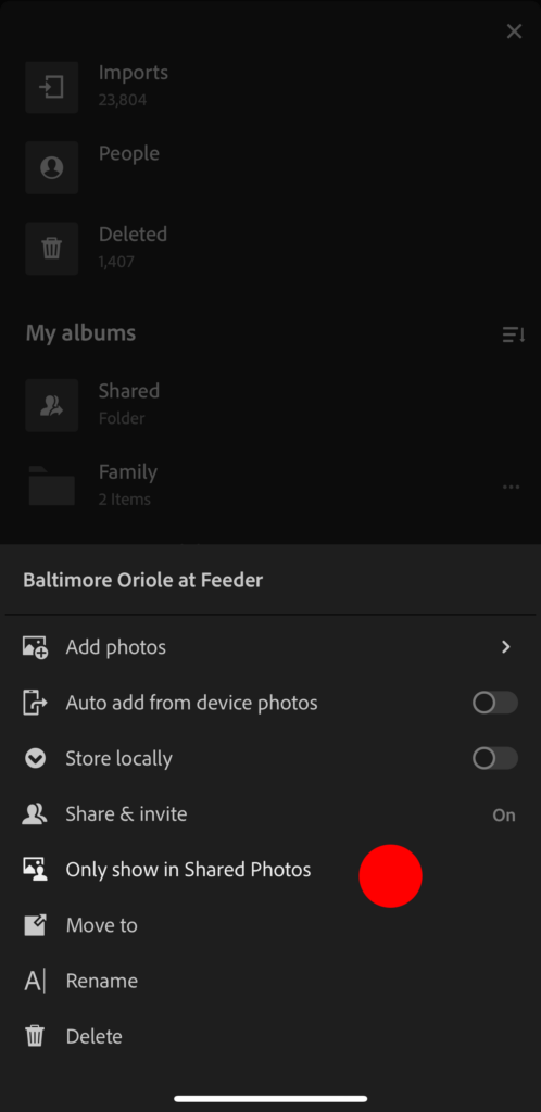 onlyshowinsharedphotos-01-498x1024.png