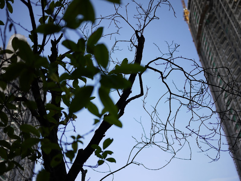 P1000037.JPG
