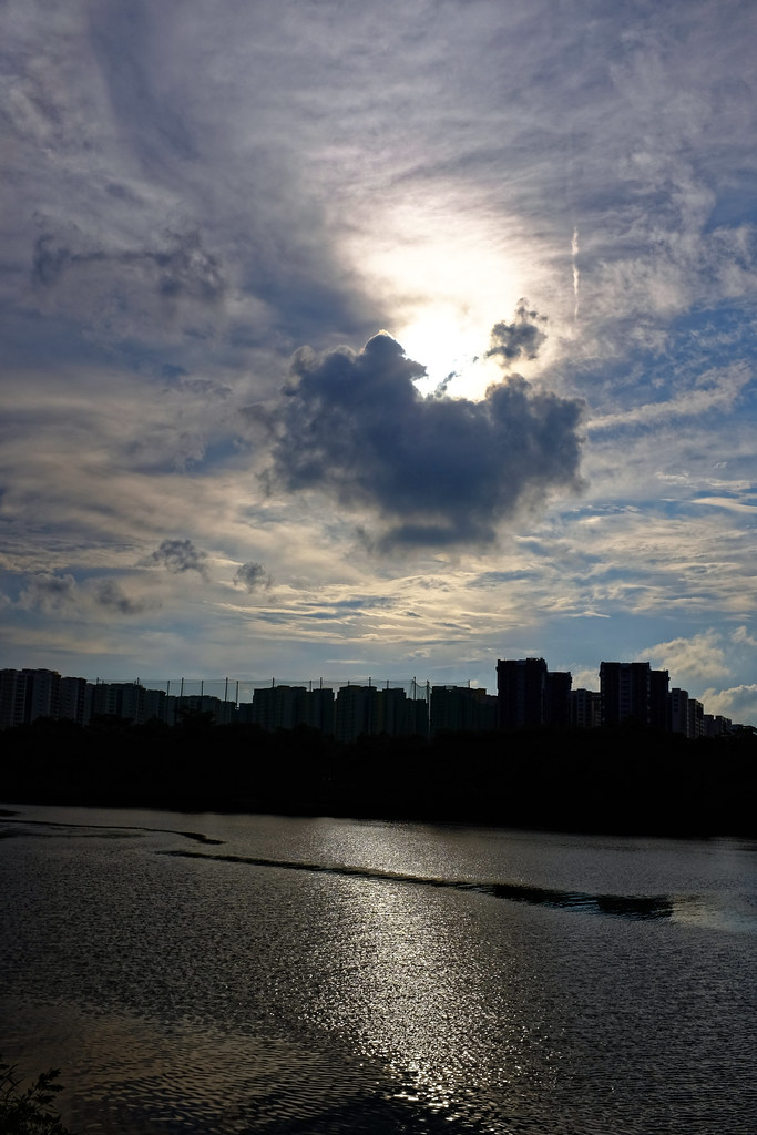17153978360_e309a7e209_b.jpg