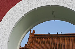 3128129400_c6014b0684_m.jpg