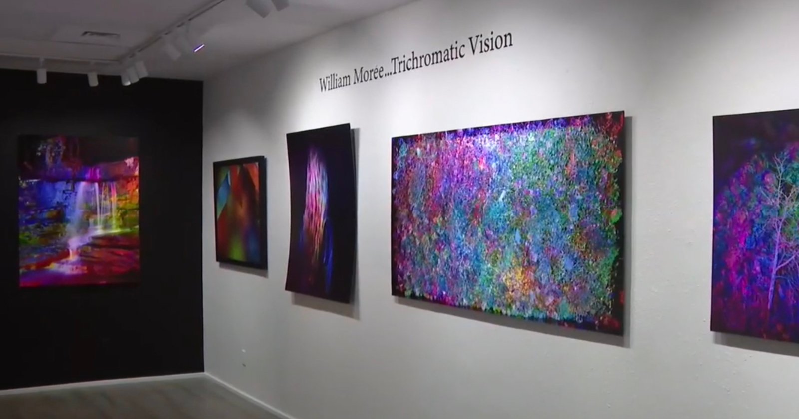 A gallery wall displays vibrant, abstract art in vivid colors under the title William Mortea_Trichromatic Vision. Paintings include colorful, textured and psychedelic imagery on white and black walls.