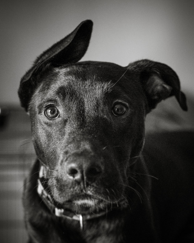 s1-640x800.jpg