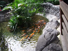 2956761602_d109f59a1f_m.jpg