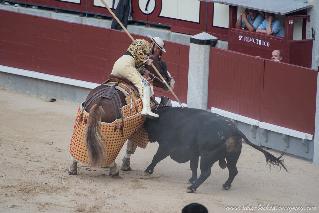 DSC8328-XL.jpg