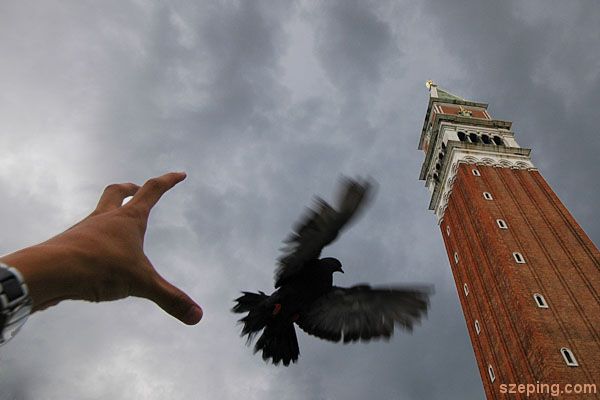 venice-summary.jpg