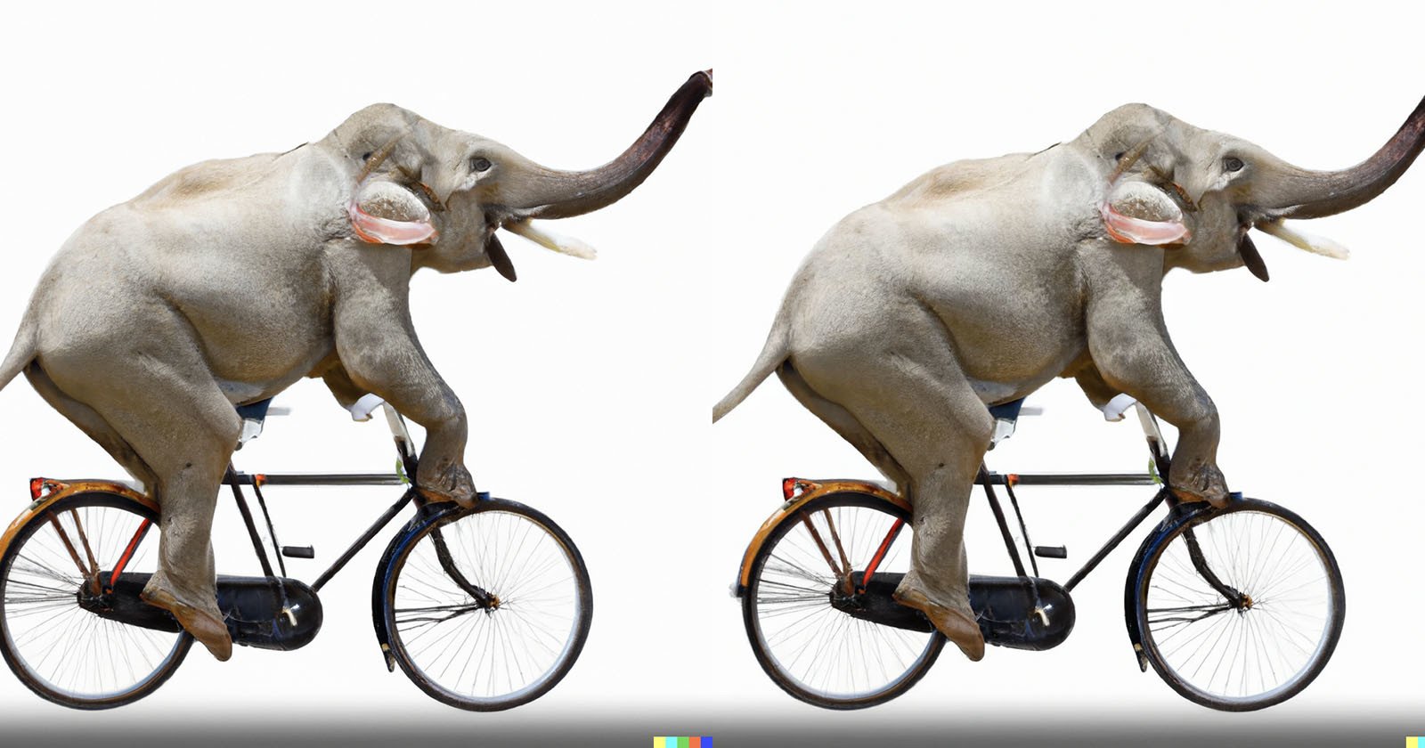 elephants