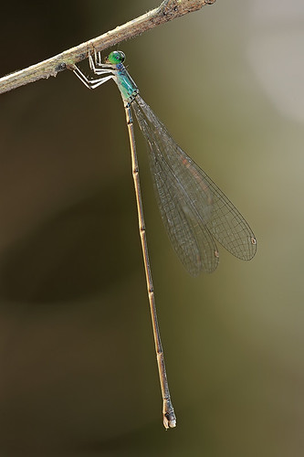 5234508554_6c3596e161.jpg