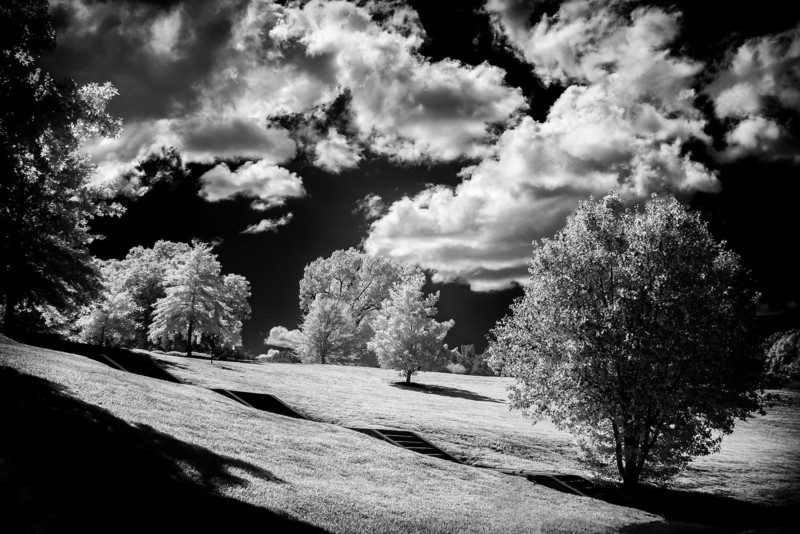 AdobeStock_314682352-800x534.jpg