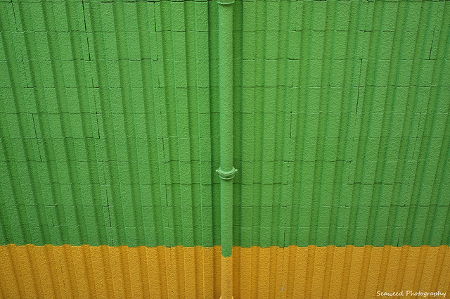 6292070314_cfdbbf3a6f_z.jpg