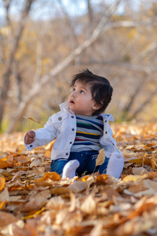 atxm_56_01_2-534x800.jpeg