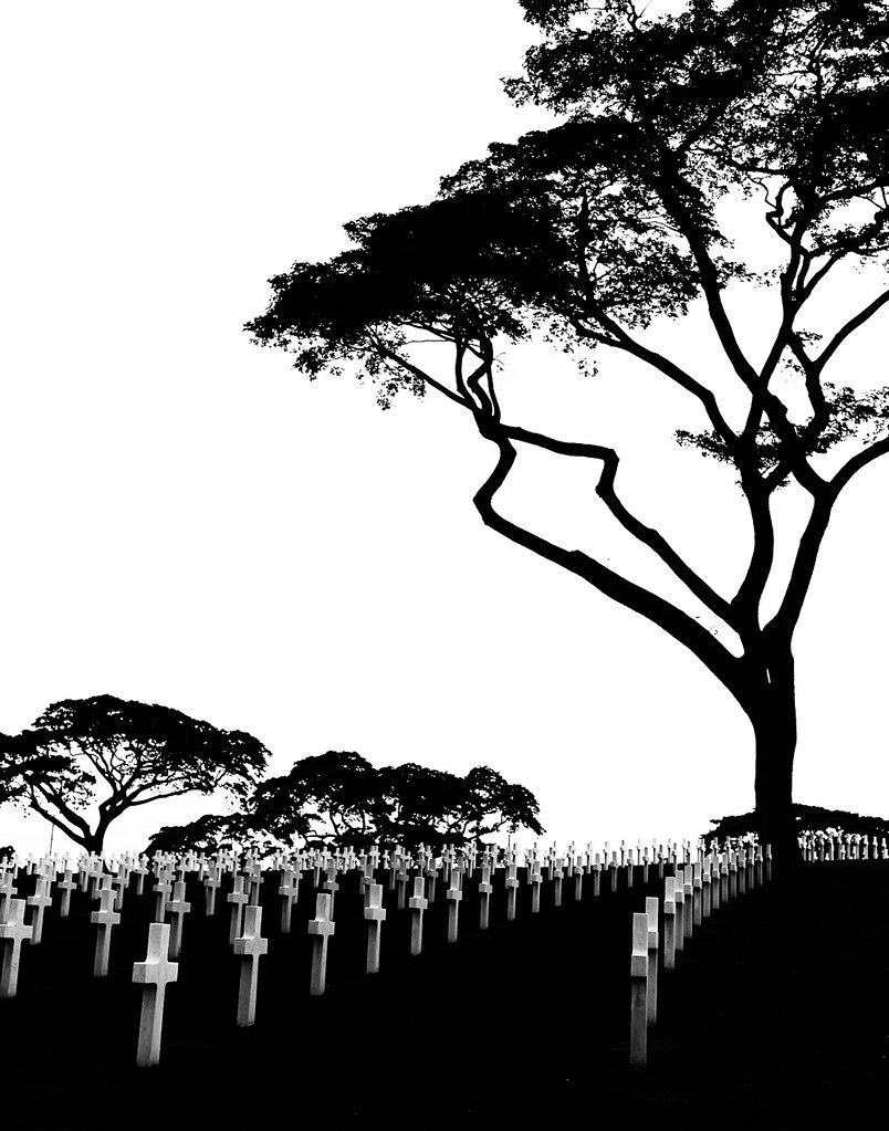 8662555431_29dc0838f8_b.jpg