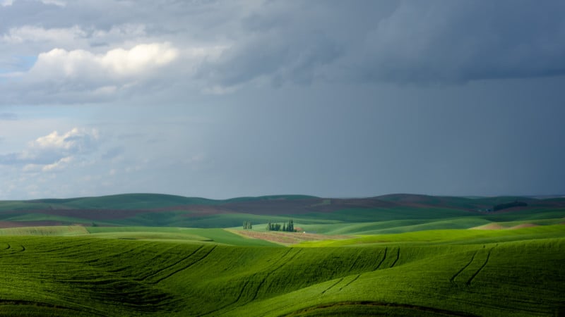 ©osztaba_palouse_GFX_20170601__DSF0526-800x450.jpg