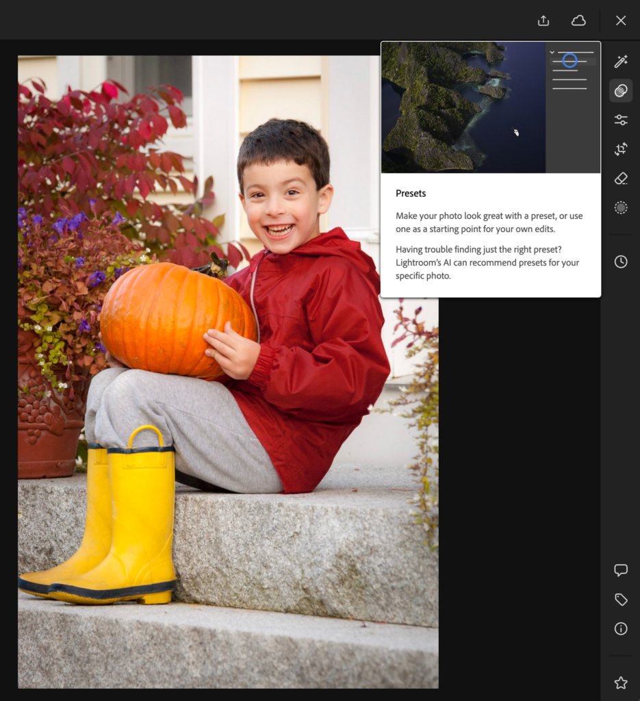 adaptiveblurpresets-01-935x1024.png