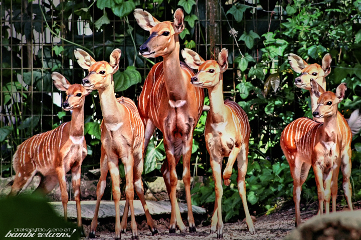 Bambi_Returns_by_Draken413o.jpg