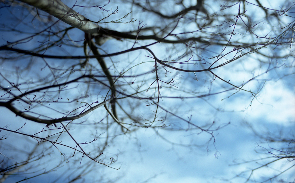 5050714491_a4ce262019_b.jpg