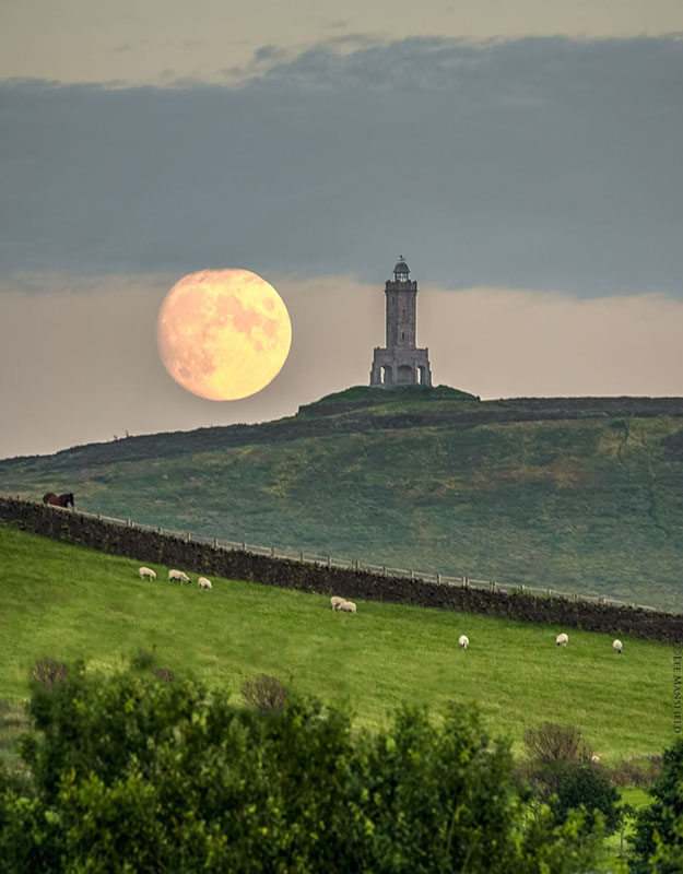 Sturgeon-Moon.jpg