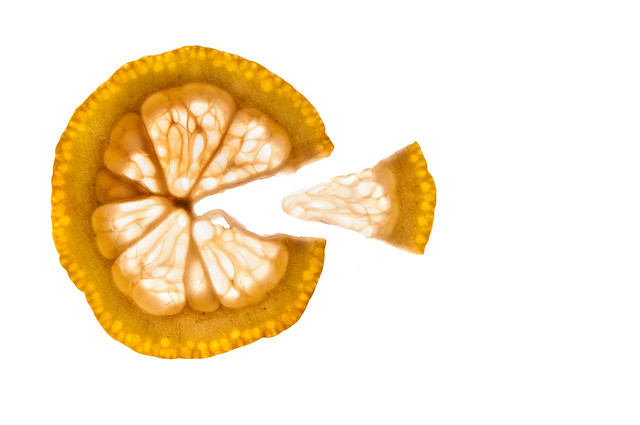 4970139721_346df244fd_z.jpg