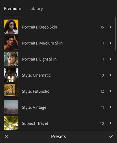 Premium-Presets-copy.jpg