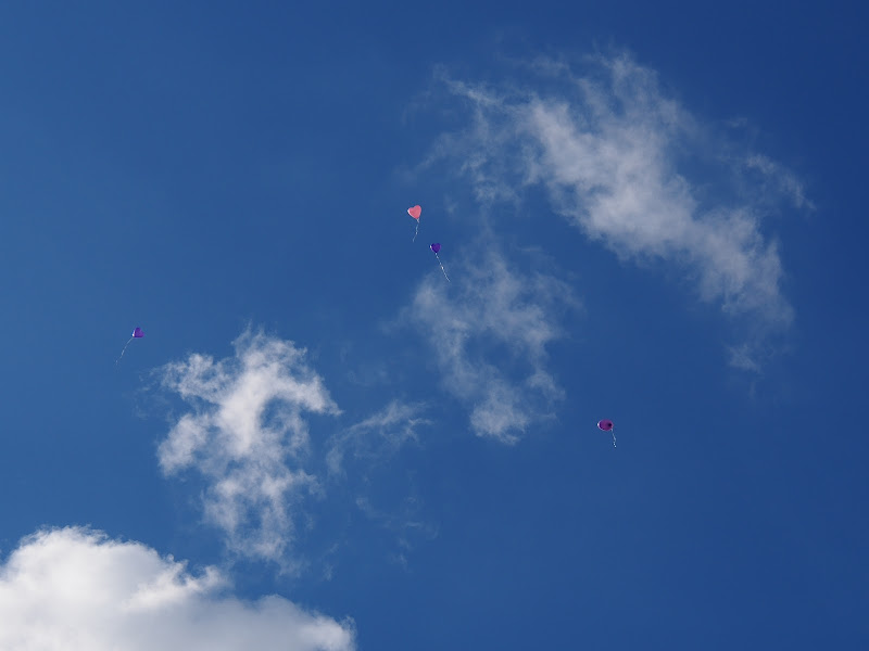 Flyaway.jpg