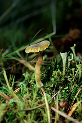 4742247115_cf26caf017_m.jpg
