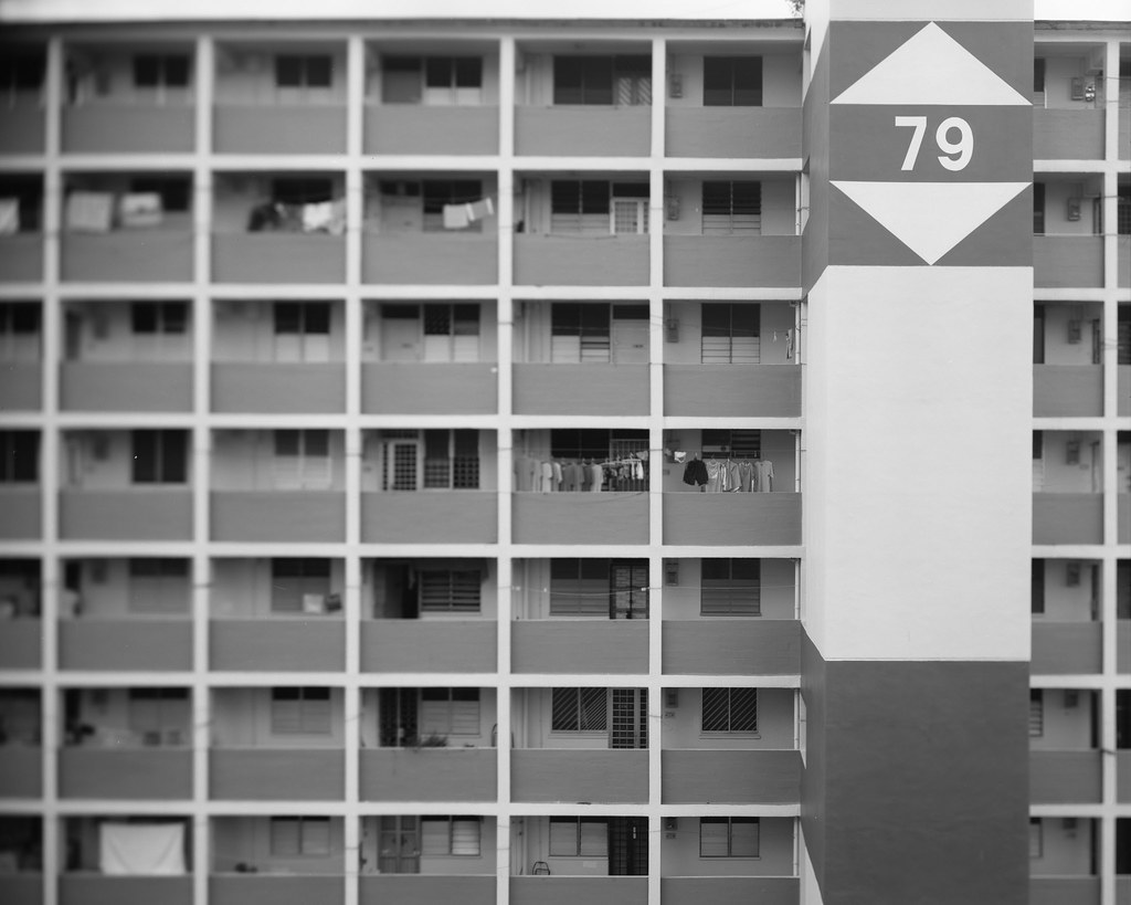 9768593082_67615aec28_b.jpg