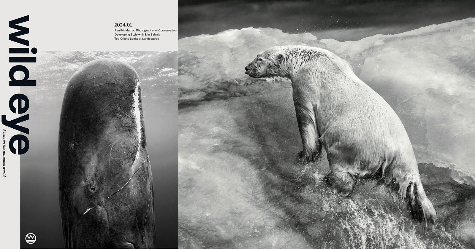 A black and white image of a whale and a polar bear. The whale is on the left side and diving in water. The polar bear on the right is climbing onto an ice floe. Text reads wild eye and mentions a photography prize for conservation.