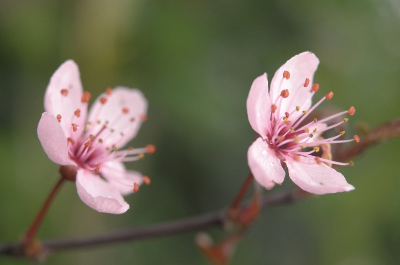 L9999776_AP-800x530.jpg