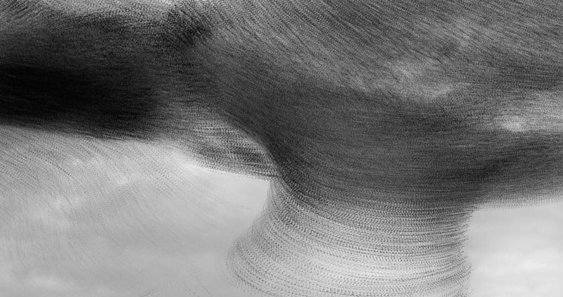 web-CREATIVEIMAGERY-Silver-KathrynCooper-800x422.jpg