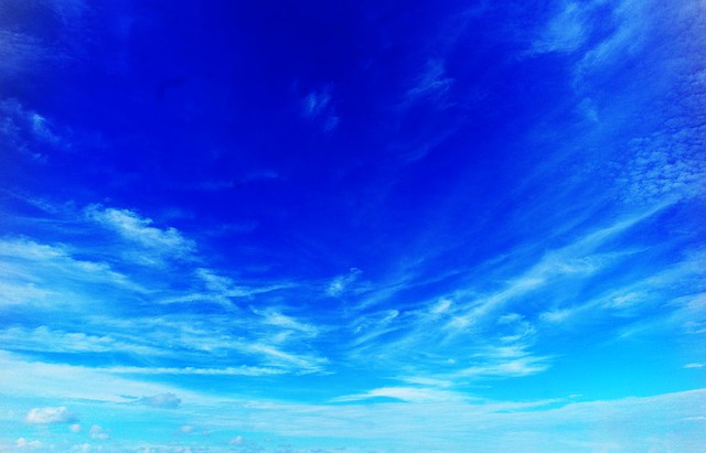 4853482422_870785866f_z.jpg
