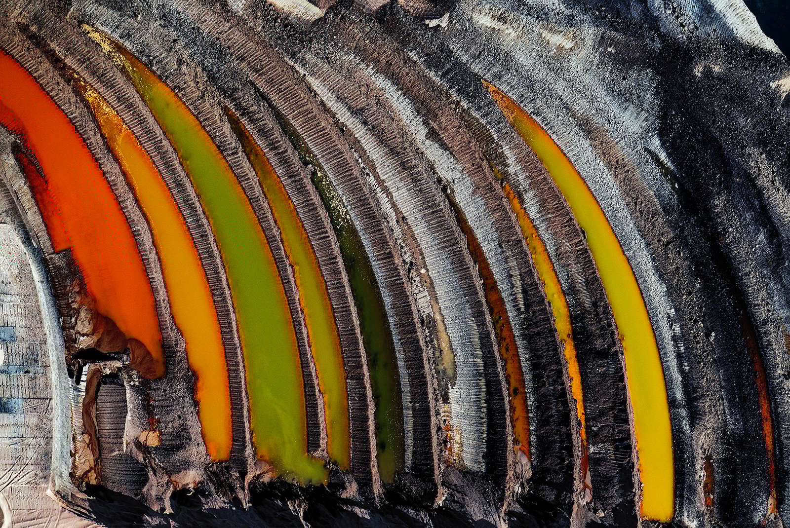 J-Henry-Fair-Remains-of-the-Forest.jpg