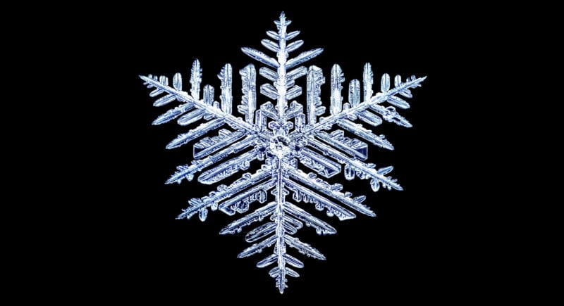 IceCrystal-800x435.jpg
