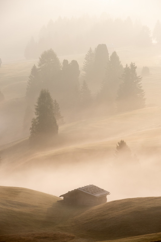 04-livieri_siusi_blackswhites-533x800.jpg