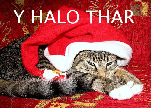 y-halo-thar.jpg