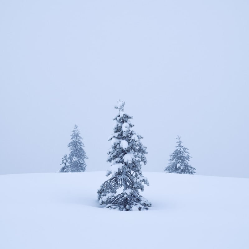 Christian-Hoiberg-Winter-Portraits-4-800x800.jpg
