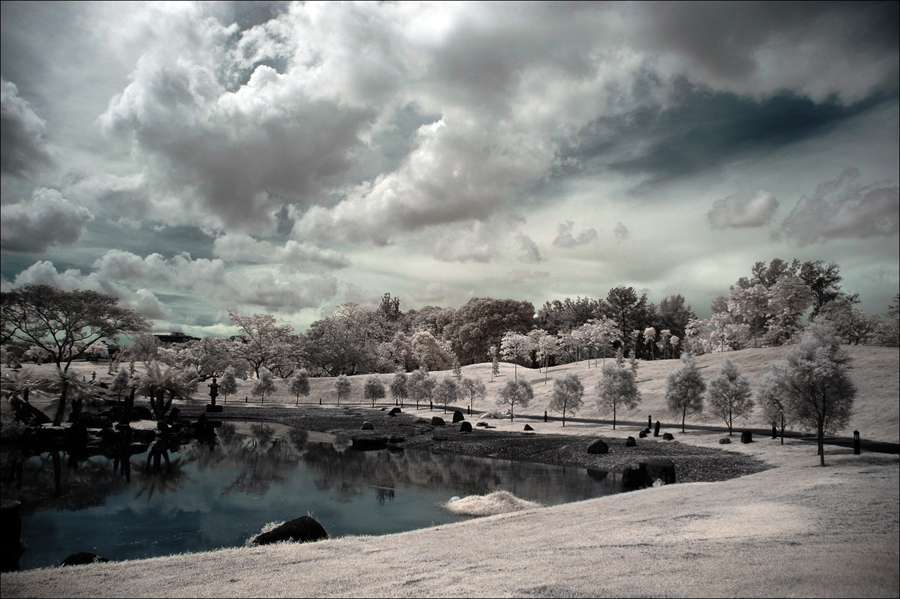 Japanese_Gardens_IR_I_by_log1t3ch.jpg