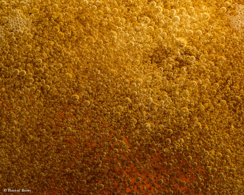 Closeup photo of beer, amber