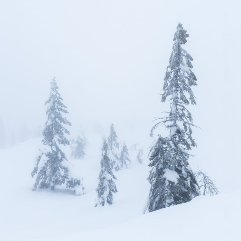 Christian-Hoiberg-Winter-Portraits-9-800x800.jpg